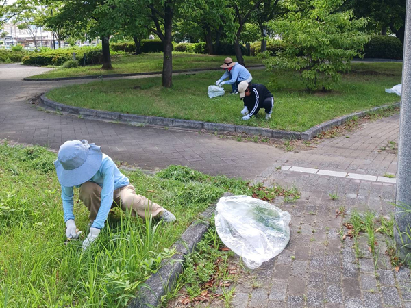 道端横の清掃